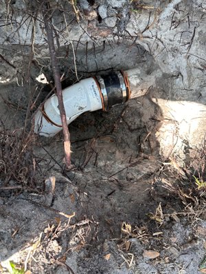 Roots in Line - Roots were growing in line, VT Plumbing and Drain removed roots and replaced pipe section. Roots in Line - Roots were growing in line, VT Plumbing and Drain removed roots and replaced pipe section.