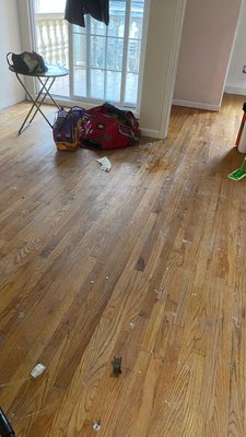 Deep Floor Cleaning - Our Client was on a business trip so hire our team to make a deep cleaning on her floor apartment. In the beginning, the wooden floor had a dusty and old look due to the dirt on top. To clean the floor we used a deep cleaning method to bring back that fresh brand-new-like look.