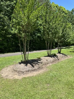 Landscaping-Mulching - This project was to add black
Mulch Landscaping-Mulching - This project was to add black
Mulch