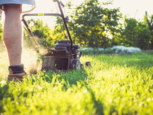 Lawn Maintenance - Keep your yard looking its best year-round with AMS Landscaping’s comprehensive lawn maintenance services. We offer regular mowing and edging on a weekly or biweekly basis, making sure your grass stays neat and trimmed while keeping edges around trees, sidewalks, and flower beds sharp and clean. Our team can also take care of weed control, pet waste removal, and seasonal treatments tailored specifically for Arizona’s unique climate.

From fertilization to aeration, thatching, and winter overseeding, our optional services are designed to improve the health and appearance of your lawn throughout the year. We use season-specific fertilizers and offer winter planting with perennial rye grass so your lawn stays green even when Bermuda grass goes dormant. Let us help you maintain a vibrant, well-kept yard—call us today at (602) 559-9790 or visit our blog and social media for expert tips, service updates, and special offers.