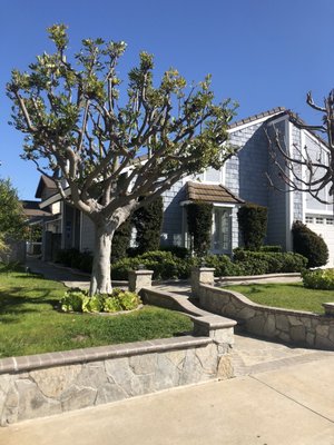 Welcome to Moon’s Garden! - Welcome to Moon’s Garden Childcare! Contact us at (949) 418-9906 for availability and rates today! Welcome to Moon’s Garden! - Welcome to Moon’s Garden Childcare! Contact us at (949) 418-9906 for availability and rates today!