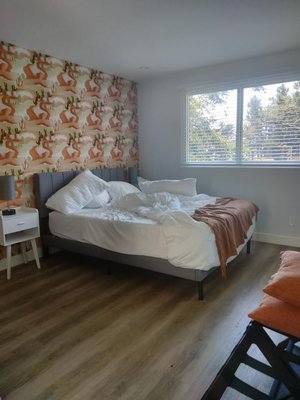 Before and Afters! - Check out our Before and Afters Before and Afters! - Check out our Before and Afters