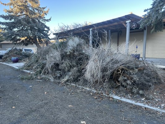 Tree branch removal - This job needed to be done in a timely matter due to homeowner trying to renew their home insurance, and there was too many branches and debris around the house Tree branch removal - This job needed to be done in a timely matter due to homeowner trying to renew their home insurance, and there was too many branches and debris around the house