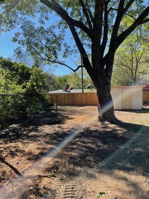 Stump Removals - Sometimes, when people have a tree removed, stump grinding is requested due to the look of the stump that remains in their yard.  We can safely and swiftly grind down any stump that you would like removed.  We will leave it looking as if no tree was ever planted there!  Clippings can stay with you for mulching purposes as it is good to mix with your compost or we can haul them away!  Call us today for any stump removal needs!