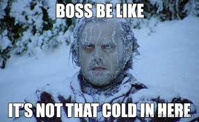 DON'T GET LEFT IN THE COLD - STAY WARM!  There is nothing Funny about Getting the Flu!