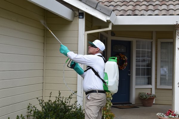 Year Round Pest Service - This home was in bad shape. Ants, outside cockroaches, and rodent entry points. We performed our ten-step service and the homeowner was excited to finally be bug and rodent-free. Year Round Pest Service - This home was in bad shape. Ants, outside cockroaches, and rodent entry points. We performed our ten-step service and the homeowner was excited to finally be bug and rodent-free.
