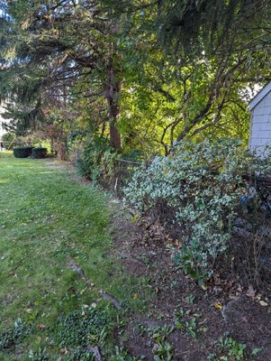 fence line clearing 2023 - show up for a brush removal quote. ended up clearing the fence line, removing the brush, a nice cleanup, and done in less than a day. fence line clearing 2023 - show up for a brush removal quote. ended up clearing the fence line, removing the brush, a nice cleanup, and done in less than a day.