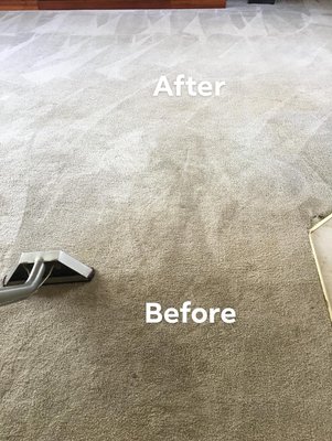 Carpet cleaning - Before and After pictures