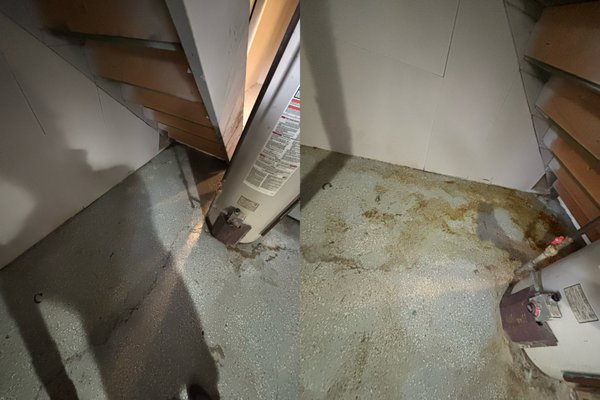 Basement Cleaning - Our team recently completed a detailed move-out clean for a client, with a special focus on a heavily soiled basement. We tackled tough stains and worked hard to eliminate odors, leaving the space not only spotless but smelling fresh and clean. Another happy customer and a job well done! Basement Cleaning - Our team recently completed a detailed move-out clean for a client, with a special focus on a heavily soiled basement. We tackled tough stains and worked hard to eliminate odors, leaving the space not only spotless but smelling fresh and clean. Another happy customer and a job well done!
