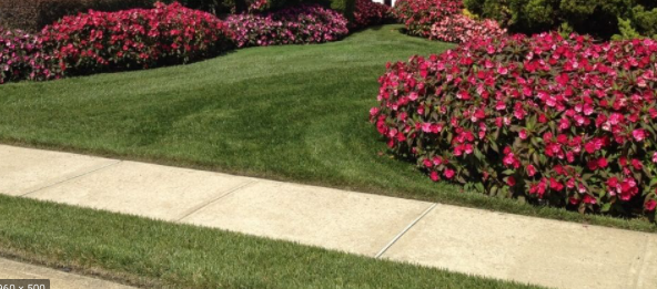 Commercial Services - Give us a call today..... Commercial Services - Give us a call today.....