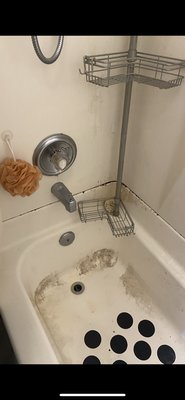 Before and After - This is a tub that has a good amount of soap scum, most cleaning companies will tell you they can’t remove “all of it”. With the right products and a little extra time Basset Cleaning Co can make your tub brand new again. Before and After - This is a tub that has a good amount of soap scum, most cleaning companies will tell you they can’t remove “all of it”. With the right products and a little extra time Basset Cleaning Co can make your tub brand new again.