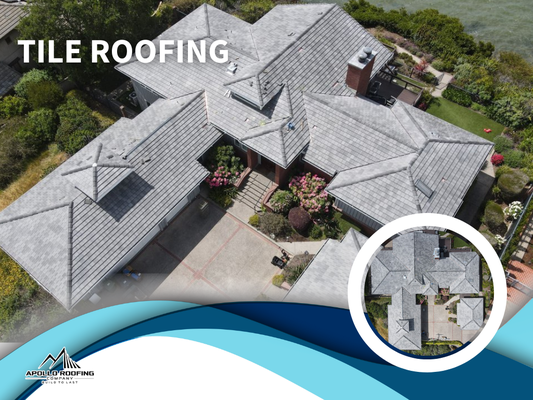 APOLLO ROOFING COMPANY - Updated April 2026 - 188 Photos & 17 Reviews ...