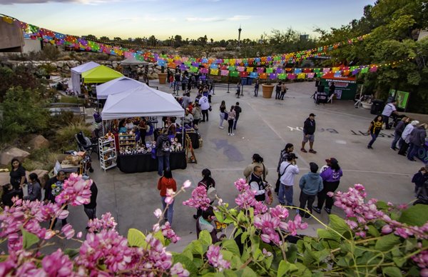 Signature Events - Each year, the Springs Preserve's annual signature special events provide family-friendly experiences and create a sense of community for residents of Southern Nevada. Signature Events - Each year, the Springs Preserve's annual signature special events provide family-friendly experiences and create a sense of community for residents of Southern Nevada.