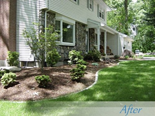 Complete landscape front lawn - In this project, we focused on enhancing the curb appeal of the property by revitalizing the front yard landscaping. We began by shaping the garden beds, giving them a clean, defined edge that adds structure to the space. Fresh mulch was applied to the beds to improve soil moisture retention and give the area a tidy, uniform look. We also planted a mix of low-maintenance shrubs and small trees to create a balanced and appealing design. The lush green lawn was carefully manicured, creating a seamless transition from the garden beds to the grassy area, ensuring a well-groomed and inviting entrance to the home. Complete landscape front lawn - In this project, we focused on enhancing the curb appeal of the property by revitalizing the front yard landscaping. We began by shaping the garden beds, giving them a clean, defined edge that adds structure to the space. Fresh mulch was applied to the beds to improve soil moisture retention and give the area a tidy, uniform look. We also planted a mix of low-maintenance shrubs and small trees to create a balanced and appealing design. The lush green lawn was carefully manicured, creating a seamless transition from the garden beds to the grassy area, ensuring a well-groomed and inviting entrance to the home.