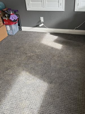 Carpet Cleaning BEFORE - Carpet Cleaning Service 89178 Carpet Cleaning BEFORE - Carpet Cleaning Service 89178