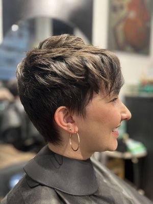Pixie and short cuts - Some highlights of pixie and precision short haircuts Pixie and short cuts - Some highlights of pixie and precision short haircuts