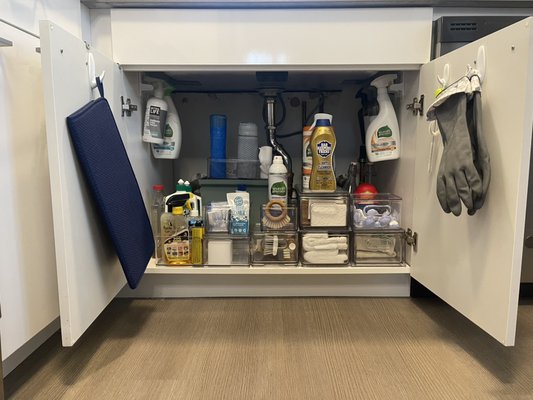 Under Kitchen Sink - Under the Kitchen Sink