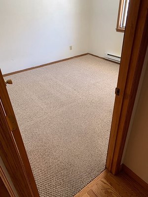 What We Do - Carpet Cleaning & More - We are a full-service carpet, rug, upholstery, and floor cleaning company specializing in Low Moisture Carpet Cleaning. Offering Carpet Cleaning, Upholstery Cleaning, Tile and Grout Cleaning, Rug Cleaning, Leather Cleaning, Hardwood Floor Cleaning, and Commercial Floor Care. What We Do - Carpet Cleaning & More - We are a full-service carpet, rug, upholstery, and floor cleaning company specializing in Low Moisture Carpet Cleaning. Offering Carpet Cleaning, Upholstery Cleaning, Tile and Grout Cleaning, Rug Cleaning, Leather Cleaning, Hardwood Floor Cleaning, and Commercial Floor Care.