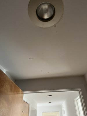 Small plaster and paint - Water damage on ceiling. Sanded then plastered and painted