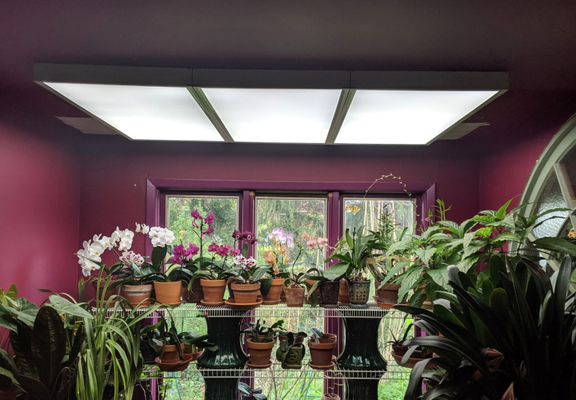 Plant room lighting - Lighting replaced with new more energy efficient fixture, brightening the space and saving electricity Plant room lighting - Lighting replaced with new more energy efficient fixture, brightening the space and saving electricity