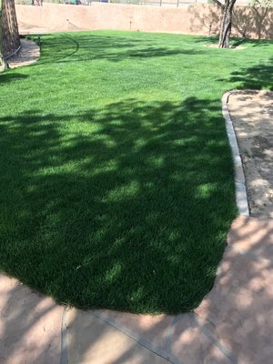Sub Surface Turf Irrigation. No Sprinkler Heads, Lower Water Use ! - This project started with bare dirt! We installed subsurface irrigation with a fertilizer tank and a water smart WiFi irrigation controller. The water saving is much less than conventional pop up spray sprinklers. Sub Surface Turf Irrigation. No Sprinkler Heads, Lower Water Use ! - This project started with bare dirt! We installed subsurface irrigation with a fertilizer tank and a water smart WiFi irrigation controller. The water saving is much less than conventional pop up spray sprinklers.