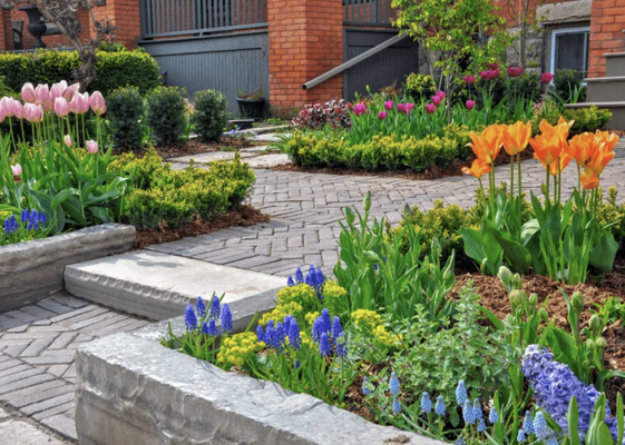 Durable and Elegant Retaining Wall Landscaping for Your Home in Northwest Indiana & Chicagoland - Custom Retaining Wall Solutions in Northwest Indiana & Chicagoland
Protect your property while enhancing its beauty with expertly designed retaining walls from Redwood Landscape. Based in Northwest Indiana, we are a family-owned and operated company with over 15 years of experience in creating durable and attractive retaining wall solutions. Retaining walls is essential for preventing soil erosion, managing slopes, and adding structure to your landscape, but they can also serve as a stunning design feature when done right.
Expertly Designed Retaining Walls for Your Residential Property in Northwest Indiana & Chicagoland
At Redwood Landscape, we take pride in offering custom retaining wall landscaping services that combine functionality with aesthetic appeal. Whether you need a small garden wall or a large structural solution, our team has the skills and expertise to deliver results that exceed your expectations.
Erosion Control and Slope Management
If your property is on uneven terrain, retaining walls are a must for preventing soil erosion and managing slopes. We design and build retaining walls that stabilize your yard while complementing its overall aesthetic.
Custom Wall Designs
We believe retaining walls should be as beautiful as they are functional. Our team works with you to design walls that integrate seamlessly into your landscape, using materials like natural stone, concrete, or brick to match your style preferences.
Garden Retaining Walls
Define garden beds and add dimension to your yard with smaller retaining walls designed to showcase plants and flowers. These walls help organize your landscape while creating visual interest.
Multi-Tiered Retaining Walls
For properties with steep slopes, we offer multi-tiered retaining wall solutions that add depth and usability to your yard. These structures are perfect for creating terraced gardens or level areas for patios and seating.
Hardscape Integration
Our retaining wall services can include integration with other hardscape features, such as pathways, patios, or outdoor living areas, to create a cohesive and functional design.
Drainage Solutions
Proper drainage is crucial for retaining wall longevity. We incorporate effective drainage systems into our designs to prevent water buildup and ensure the durability of your walls. Durable and Elegant Retaining Wall Landscaping for Your Home in Northwest Indiana & Chicagoland - Custom Retaining Wall Solutions in Northwest Indiana & Chicagoland
Protect your property while enhancing its beauty with expertly designed retaining walls from Redwood Landscape. Based in Northwest Indiana, we are a family-owned and operated company with over 15 years of experience in creating durable and attractive retaining wall solutions. Retaining walls is essential for preventing soil erosion, managing slopes, and adding structure to your landscape, but they can also serve as a stunning design feature when done right.
Expertly Designed Retaining Walls for Your Residential Property in Northwest Indiana & Chicagoland
At Redwood Landscape, we take pride in offering custom retaining wall landscaping services that combine functionality with aesthetic appeal. Whether you need a small garden wall or a large structural solution, our team has the skills and expertise to deliver results that exceed your expectations.
Erosion Control and Slope Management
If your property is on uneven terrain, retaining walls are a must for preventing soil erosion and managing slopes. We design and build retaining walls that stabilize your yard while complementing its overall aesthetic.
Custom Wall Designs
We believe retaining walls should be as beautiful as they are functional. Our team works with you to design walls that integrate seamlessly into your landscape, using materials like natural stone, concrete, or brick to match your style preferences.
Garden Retaining Walls
Define garden beds and add dimension to your yard with smaller retaining walls designed to showcase plants and flowers. These walls help organize your landscape while creating visual interest.
Multi-Tiered Retaining Walls
For properties with steep slopes, we offer multi-tiered retaining wall solutions that add depth and usability to your yard. These structures are perfect for creating terraced gardens or level areas for patios and seating.
Hardscape Integration
Our retaining wall services can include integration with other hardscape features, such as pathways, patios, or outdoor living areas, to create a cohesive and functional design.
Drainage Solutions
Proper drainage is crucial for retaining wall longevity. We incorporate effective drainage systems into our designs to prevent water buildup and ensure the durability of your walls.