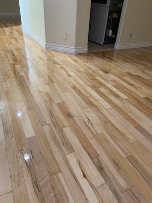 Refinish Engineer maple in Hawthorne California￼ - A realtor called us  to came and check out an engineer maple  floors.  the floor was in a very bad shape . . We starting to peel  the whole  old finish . . We dedicated time and passion . By the end the floor turn amazing  ￼