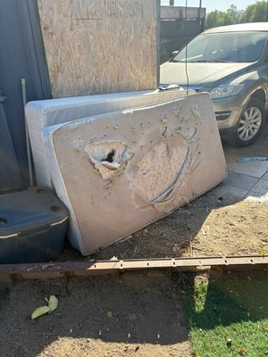 junk removal - collection of trash and debris junk removal - collection of trash and debris