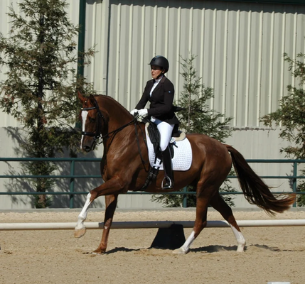 Dressage Program - Our dressage program is led by an experienced professional with a proven track record of success. From foundational training to advanced competition preparation, riders receive expert guidance in a structured and supportive environment. With access to top-tier arenas and training tools, both horse and rider develop precision, balance, and confidence. Dressage Program - Our dressage program is led by an experienced professional with a proven track record of success. From foundational training to advanced competition preparation, riders receive expert guidance in a structured and supportive environment. With access to top-tier arenas and training tools, both horse and rider develop precision, balance, and confidence.