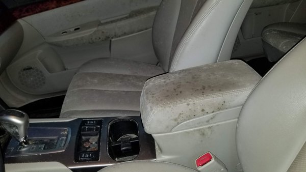 Interir Detail with Mold Treatment - Customer sunroof started to leak and due to customer not using the vehicle very often for about a year the vehicle started to grow mold. Due the customers old age they wasn't able to keep up with it. So we did a complete interior detail with our mold treatment so it would safe for them to use the vehicle again.