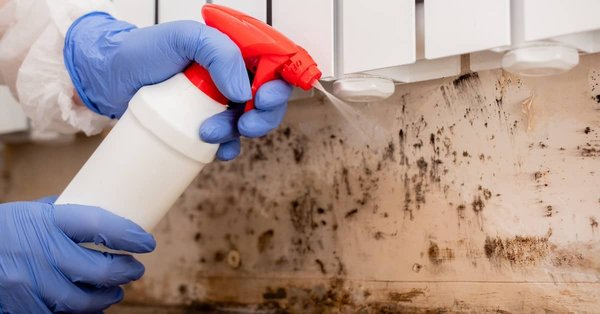 Mold Remediation - DRYCOR RESTORE of Tampa is the top licensed mold remediation company serving Tampa and nearby communities. Mold Remediation - DRYCOR RESTORE of Tampa is the top licensed mold remediation company serving Tampa and nearby communities.