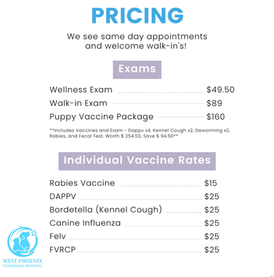 Special offers - Call us at 6026661289 or text us at 602-833-0298. Special offers - Call us at 6026661289 or text us at 602-833-0298.