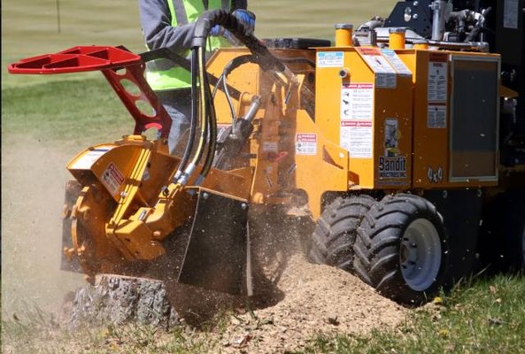 Emergency Stump Removal - Storms, fallen trees, or unexpected hazards require fast action. STUMP SNIPER offers emergency stump grinding services to restore safety and accessibility to your property. Our team responds promptly to prevent accidents, protect your lawn, and prepare your space for repair or landscaping.
Fast response for hazards
Restore property safety quickly
Immediate storm damage service
Protect lawn and structures Emergency Stump Removal - Storms, fallen trees, or unexpected hazards require fast action. STUMP SNIPER offers emergency stump grinding services to restore safety and accessibility to your property. Our team responds promptly to prevent accidents, protect your lawn, and prepare your space for repair or landscaping.
Fast response for hazards
Restore property safety quickly
Immediate storm damage service
Protect lawn and structures