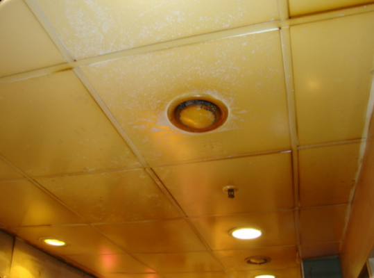 Ceiling Tile Cleaning - Hood Boss is an authorized dealer of a world wide leader in ceiling cleaning, walls and restoration; Ceiling Pro International. Hood Boss has been a partner with CPI for 2 years, and our staff is dedicated to providing the standard of service CPI has been known for over the past 30 years. Founded in 1989, Ceiling Pro International (CPI) is the leader among ceiling cleaning companies. Our national and international network includes over 500 CPI locations, who serve thousands of satisfied customers every day.

We use the appropriate mixture of our 19 proprietary solutions to tackle the specific problem we encounter at each site. The mixture reacts with the dirty ceiling and removes the soiling. This occurs without damaging the surface of the ceiling or walls.