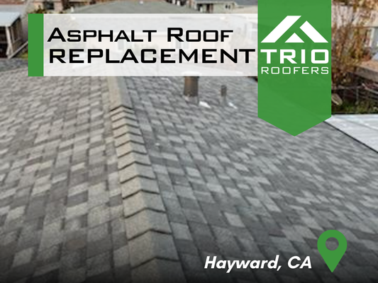 Asphalt Roof Replacement | Hayward, CA - Asphalt Roof Replacement | Hayward, CA Asphalt Roof Replacement | Hayward, CA - Asphalt Roof Replacement | Hayward, CA