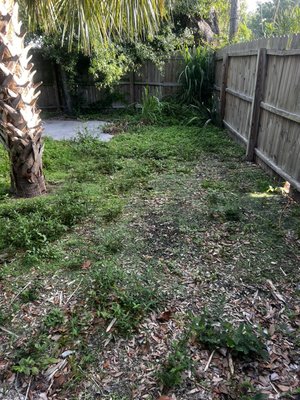 Lawn service - This was a before and after pic of lawn service