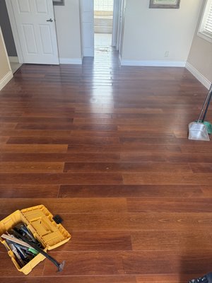 wood floor demo and installation - we demolished and installed this beautiful wood floor in pembroke pines
the customer was very happy wood floor demo and installation - we demolished and installed this beautiful wood floor in pembroke pines
the customer was very happy