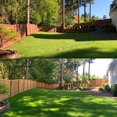 Fence Staining - Fence Staining