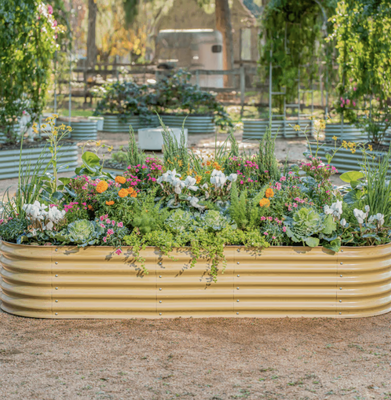 Modern & Classic Beds – Tailored Edible Gardens for Every Taste - At Urban Abundance, we believe edible garden design should reflect your personal style—whether that’s timeless charm or contemporary elegance. That’s why we offer two signature raised bed collections: our Classic Beds, rooted in tradition and craftsmanship, and our Modern Beds, built for clean lines and minimalist beauty. Both are designed to grow an abundance of fresh, organic food year-round—right in your own backyard.
This project showcases how our custom garden beds can complement any aesthetic while delivering the same concierge-level care and seasonal harvests. One client, drawn to the nostalgia of old-world gardens, chose our Classic Beds—crafted from rot-resistant hardwood with traditional joinery, a warm finish, and a layout inspired by heritage kitchen gardens. Another client, with a sleek, coastal-modern home, opted for our Modern Beds—designed with sharp geometry, composite finishes, and subtle, built-in irrigation for a seamless look.
No matter the style, every Urban Abundance garden starts with premium soil: a living blend of compost, biochar, and organic nutrients designed to fuel thriving plants. We personalized the plantings for each family—think cherry tomatoes and sweet peppers in one garden, culinary herbs and leafy greens in another. Pollinator flowers added color, biodiversity, and a little extra garden magic.
Installation included integrated drip irrigation, natural mulch, and thoughtful placement to maximize sun exposure and airflow. The results? Low-maintenance, high-impact edible gardens that look stunning and produce generously in South Florida’s unique climate.
Both clients enrolled in our GreenThumb Membership, which means our expert team provides regular maintenance, seasonal replanting, and harvest support. These gardens aren’t just beautiful—they’re effortlessly productive, changing with the seasons and evolving with each family’s needs.
Whether you love the rustic elegance of a traditional potager or the clean sophistication of a modern landscape, Urban Abundance has a garden bed series that fits your space and your taste. Our Classic and Modern Beds are more than just frames for plants—they’re foundations for a lifestyle of wellness, beauty, and sustainability.
Ready to bring your vision to life? Let’s grow something beautiful—your way. Modern & Classic Beds – Tailored Edible Gardens for Every Taste - At Urban Abundance, we believe edible garden design should reflect your personal style—whether that’s timeless charm or contemporary elegance. That’s why we offer two signature raised bed collections: our Classic Beds, rooted in tradition and craftsmanship, and our Modern Beds, built for clean lines and minimalist beauty. Both are designed to grow an abundance of fresh, organic food year-round—right in your own backyard.
This project showcases how our custom garden beds can complement any aesthetic while delivering the same concierge-level care and seasonal harvests. One client, drawn to the nostalgia of old-world gardens, chose our Classic Beds—crafted from rot-resistant hardwood with traditional joinery, a warm finish, and a layout inspired by heritage kitchen gardens. Another client, with a sleek, coastal-modern home, opted for our Modern Beds—designed with sharp geometry, composite finishes, and subtle, built-in irrigation for a seamless look.
No matter the style, every Urban Abundance garden starts with premium soil: a living blend of compost, biochar, and organic nutrients designed to fuel thriving plants. We personalized the plantings for each family—think cherry tomatoes and sweet peppers in one garden, culinary herbs and leafy greens in another. Pollinator flowers added color, biodiversity, and a little extra garden magic.
Installation included integrated drip irrigation, natural mulch, and thoughtful placement to maximize sun exposure and airflow. The results? Low-maintenance, high-impact edible gardens that look stunning and produce generously in South Florida’s unique climate.
Both clients enrolled in our GreenThumb Membership, which means our expert team provides regular maintenance, seasonal replanting, and harvest support. These gardens aren’t just beautiful—they’re effortlessly productive, changing with the seasons and evolving with each family’s needs.
Whether you love the rustic elegance of a traditional potager or the clean sophistication of a modern landscape, Urban Abundance has a garden bed series that fits your space and your taste. Our Classic and Modern Beds are more than just frames for plants—they’re foundations for a lifestyle of wellness, beauty, and sustainability.
Ready to bring your vision to life? Let’s grow something beautiful—your way.