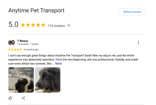 Reviews - Anytime Pet Transport offers pet transportation services anywhere in the world. We offer flight nanny services, shared ground routes and express ground routes. We also offer kennel care, pet boarding, pet daycare, pet sitting and dog walking services. Please feel free to check us out on FACEBOOK and google as well.