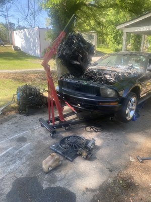 2005 mustang engine swap - This is a short slideshow showing how saapped the engine on a 2005 v6 mustang 2005 mustang engine swap - This is a short slideshow showing how saapped the engine on a 2005 v6 mustang