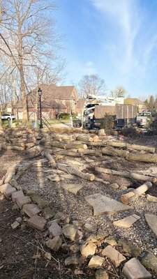 Removal of trees to make a flower garden - Removal of trees to make a flower garden Removal of trees to make a flower garden - Removal of trees to make a flower garden