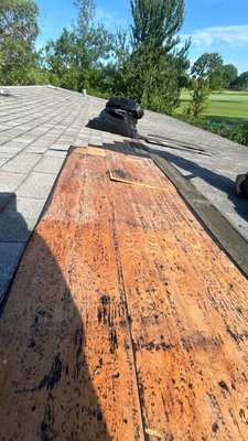 Warped or buckled shingles - Noticing warped or buckled shingles on your roof?
This issue is often caused by loose plywood seams beneath the shingles—especially where two sheets meet on a rafter or joist. When the decking isn’t properly secured, it can lift or shift, creating visible lines or uneven areas on your roof.
At Anchor Point Roofing, we provide expert roof repair services in Chicago to address the root of the problem. Our process includes removing and saving the affected shingles, inspecting and re-securing the plywood seams, installing new synthetic felt, and reinstalling the shingles. If needed, we’ll replace them with new ones that closely match your existing roof.
If you’re seeing signs of buckling, it’s best to take care of it early. Contact Anchor Point Roofing today for reliable roof repair in Chicago! Warped or buckled shingles - Noticing warped or buckled shingles on your roof?
This issue is often caused by loose plywood seams beneath the shingles—especially where two sheets meet on a rafter or joist. When the decking isn’t properly secured, it can lift or shift, creating visible lines or uneven areas on your roof.
At Anchor Point Roofing, we provide expert roof repair services in Chicago to address the root of the problem. Our process includes removing and saving the affected shingles, inspecting and re-securing the plywood seams, installing new synthetic felt, and reinstalling the shingles. If needed, we’ll replace them with new ones that closely match your existing roof.
If you’re seeing signs of buckling, it’s best to take care of it early. Contact Anchor Point Roofing today for reliable roof repair in Chicago!
