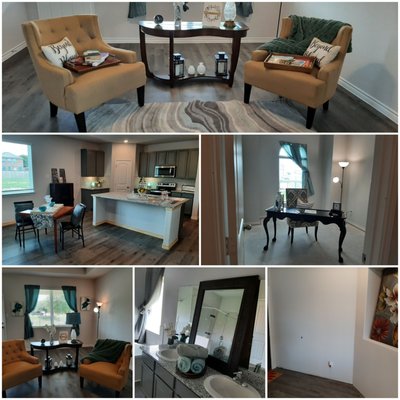 Home Staging and Decorator project - This specific project was