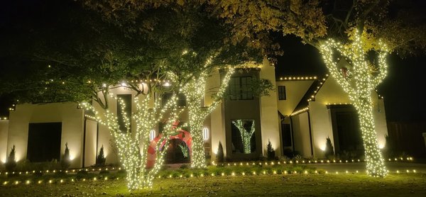 High Peak & Tree Wraps - This stunning estate, with a towering 40-foot roof peak, became a true holiday showstopper with our professional Christmas light installation. We wrapped three massive front-yard trees all the way up to 25 feet high, illuminating both their trunks and branches for a breathtaking glow. The entire roofline sparkled with perfectly outlined lights, while every walkway and the long driveway were lined to create a warm, inviting path of holiday cheer. This project showcases our ability to handle large-scale homes with precision, creativity, and dramatic results that impress from every angle. High Peak & Tree Wraps - This stunning estate, with a towering 40-foot roof peak, became a true holiday showstopper with our professional Christmas light installation. We wrapped three massive front-yard trees all the way up to 25 feet high, illuminating both their trunks and branches for a breathtaking glow. The entire roofline sparkled with perfectly outlined lights, while every walkway and the long driveway were lined to create a warm, inviting path of holiday cheer. This project showcases our ability to handle large-scale homes with precision, creativity, and dramatic results that impress from every angle.