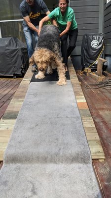 Stairwell Ramp build for two aging Canines - Back Porch Stairwell for a couple of old guys 😇