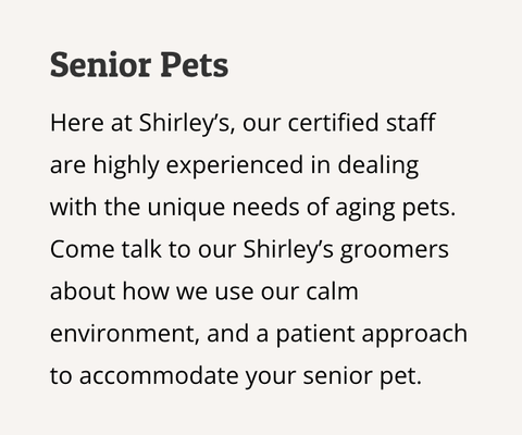 Specialty Services - At Shirley’s we believe it is important for puppies to have a positive association with grooming. Thant is why we created to puppy intro package.
Our Puppy Into packages are shorter in length and centered around introducing puppies to all the tools and sensations of the grooming process. We recommend that puppies between the ages of 8 weeks and 5 months come in for 1-2 intro packages before having a full groom to allow them to develop a positive relationship with the grooming process. Specialty Services - At Shirley’s we believe it is important for puppies to have a positive association with grooming. Thant is why we created to puppy intro package.
Our Puppy Into packages are shorter in length and centered around introducing puppies to all the tools and sensations of the grooming process. We recommend that puppies between the ages of 8 weeks and 5 months come in for 1-2 intro packages before having a full groom to allow them to develop a positive relationship with the grooming process.