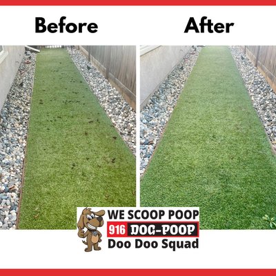 Dog poop pick up 916-DOG-POOP - Tired of stepping in surprises? Doo Doo Squad keeps your yard waste-free so you can enjoy your outdoor space again!
🐶 Why Pet Owners Love Us:
✔ No more scooping – We do the dirty work for you!
✔ Reliable service – We always show up, rain or shine.
✔ Fresh & odor-free – Our Yard Odor Destroyer™ eliminates smells.
✔ Pet & kid-safe – Clean yards = happy families!
💩 Set it & forget it – we handle the rest!
Try us today – Free initial clean up Dog poop pick up 916-DOG-POOP - Tired of stepping in surprises? Doo Doo Squad keeps your yard waste-free so you can enjoy your outdoor space again!
🐶 Why Pet Owners Love Us:
✔ No more scooping – We do the dirty work for you!
✔ Reliable service – We always show up, rain or shine.
✔ Fresh & odor-free – Our Yard Odor Destroyer™ eliminates smells.
✔ Pet & kid-safe – Clean yards = happy families!
💩 Set it & forget it – we handle the rest!
Try us today – Free initial clean up