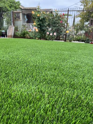 Walten Project - This fresh and elegant project features a brand-new concrete driveway and 2,500 square feet of lush, lime-blade artificial turf, beautifully complemented by integrated drainage and thoughtfully selected plants! Walten Project - This fresh and elegant project features a brand-new concrete driveway and 2,500 square feet of lush, lime-blade artificial turf, beautifully complemented by integrated drainage and thoughtfully selected plants!