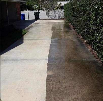 House wash/roof wash/stain removal/concrete cleaning - House wash, gutter cleaning, concrete cleaning, roof wash, stain removal. House wash/roof wash/stain removal/concrete cleaning - House wash, gutter cleaning, concrete cleaning, roof wash, stain removal.